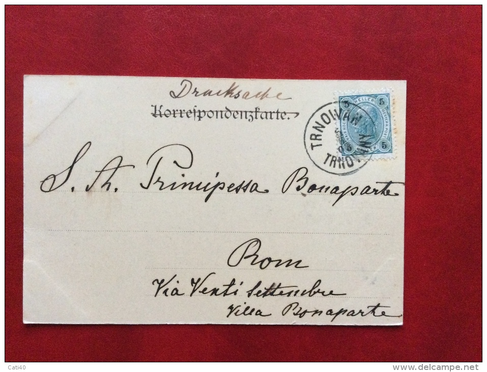 REPUBBLICA CECA -KALTWASSER - HEILANSTALT - THERESIENBAD - ANNULLO : TRNOWAN - TRNAVANY - 1903 - Tchéquie