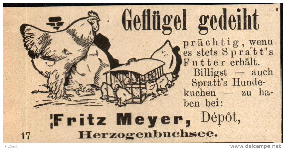 Original Werbung - 1911 - Geflügel , Fritz Meyer In Herzogenbuchsee !!! - Herzogenbuchsee