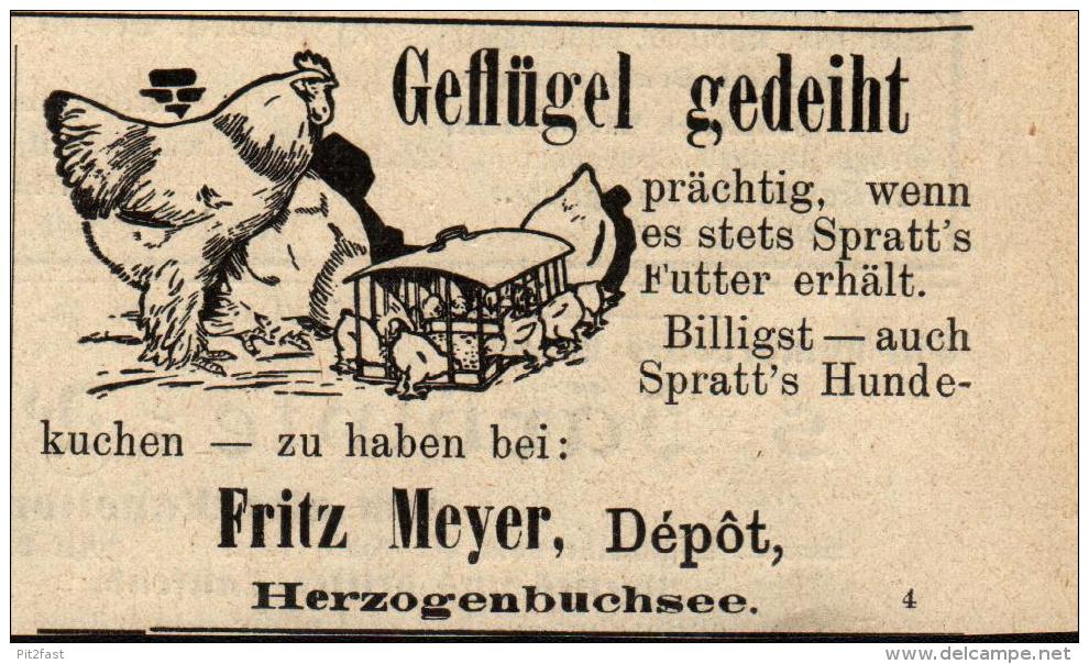 Original Werbung - 1911 - Geflügel , Fritz Meyer In Herzogenbuchsee !!! - Herzogenbuchsee