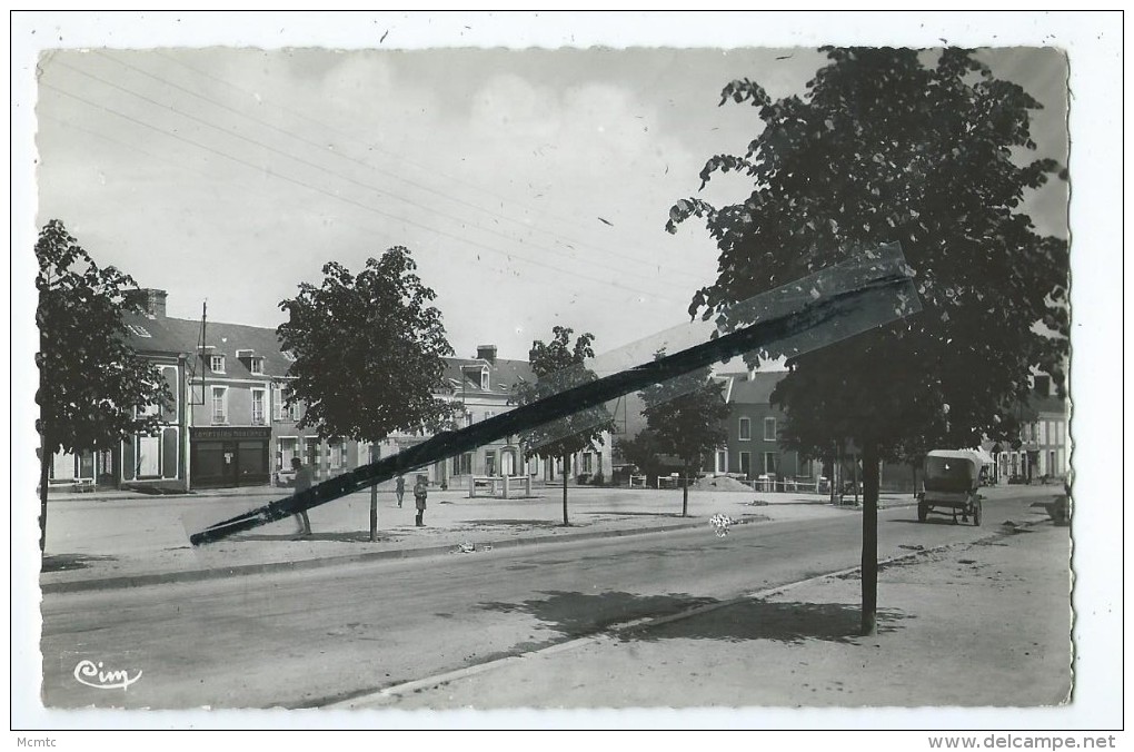 CPSM - Courtomer - Place Du Marché - Courtomer