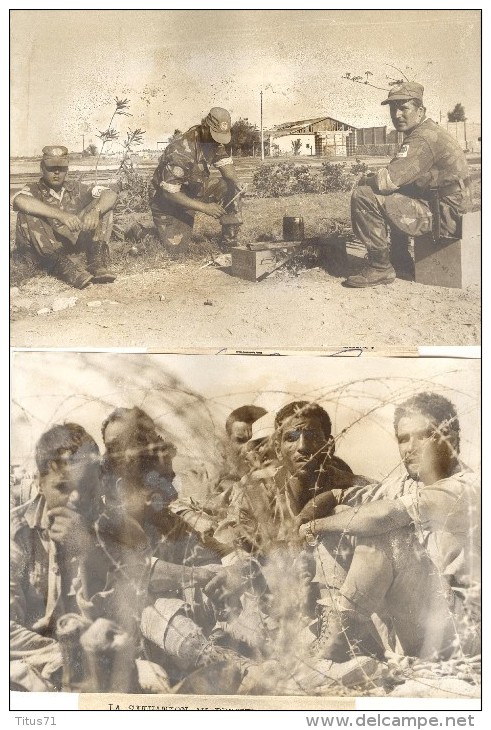 Lot de 20 Photos d'actualité  "Israel en guerre" - Format 13 X 18 Cm