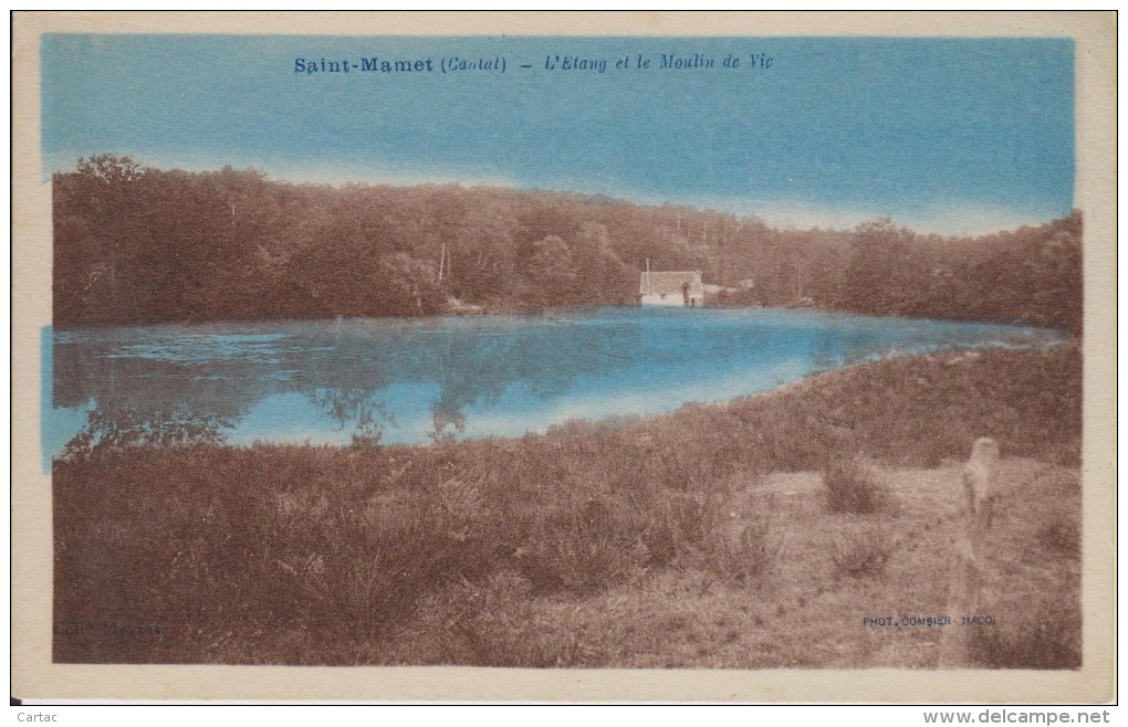 D15 - SAINT MAMET - L'ETANG ET LE MOULIN DE VIC - Saint-Mamet-la-Salvetat