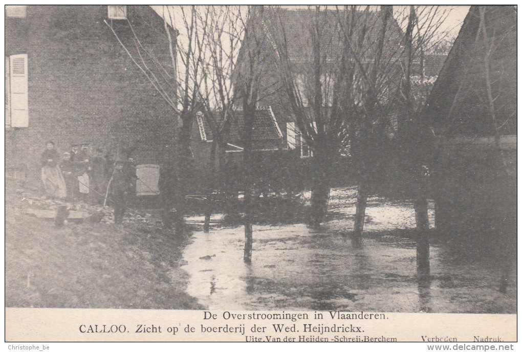 Ramp Der Overstroomingen Van 12 Maart 1906, Calloo Zicht Op De Boerderij Der Wed. Heijndrickx  (pk18540) - Beveren-Waas