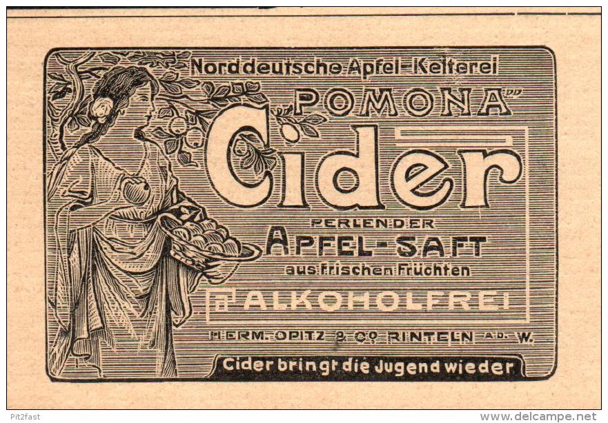 Original Werbung - 1905 - CIDER Apfelsaft , Apfel-Kelterei , H. Opitz In Rinteln A.d.W. , Mosterei !!! - Rinteln