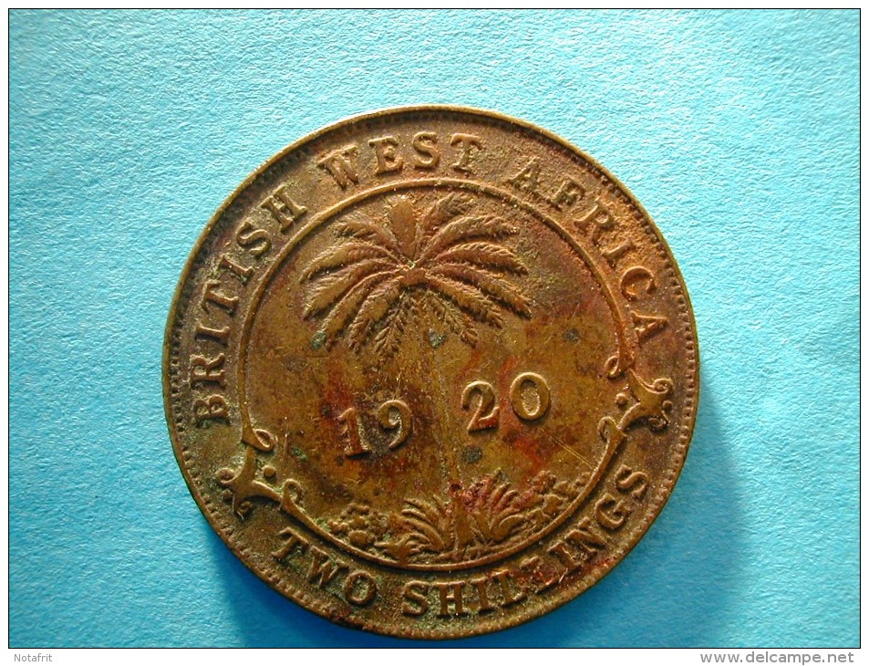British West Africa 1 Shilling 1920  Copper  Not The Silver One . - Autres – Afrique