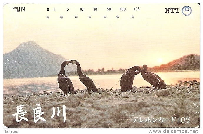 TARJETA DE JAPON DE UNOS CORMORANES DE 105 UNITS (290-326-1989) BIRD-PAJARO - Japón