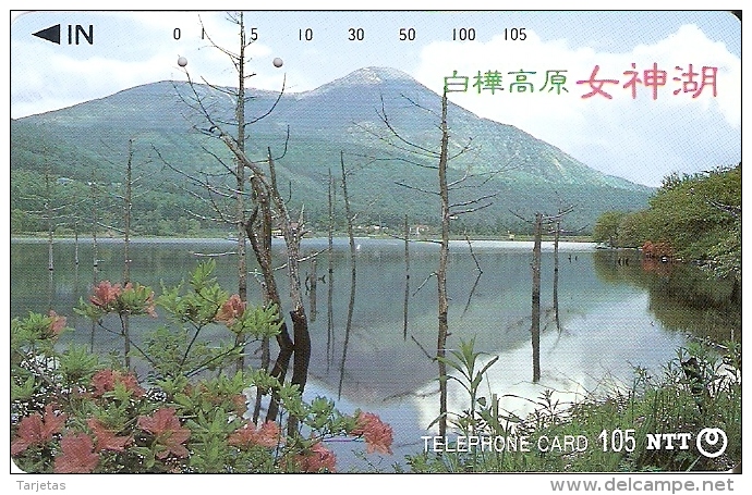 TARJETA DE JAPON DE UNA MONTAÑA Y LAGO  DE 105 UNITS (270-135-1989) MOUNTAIN-LAKE - Japón