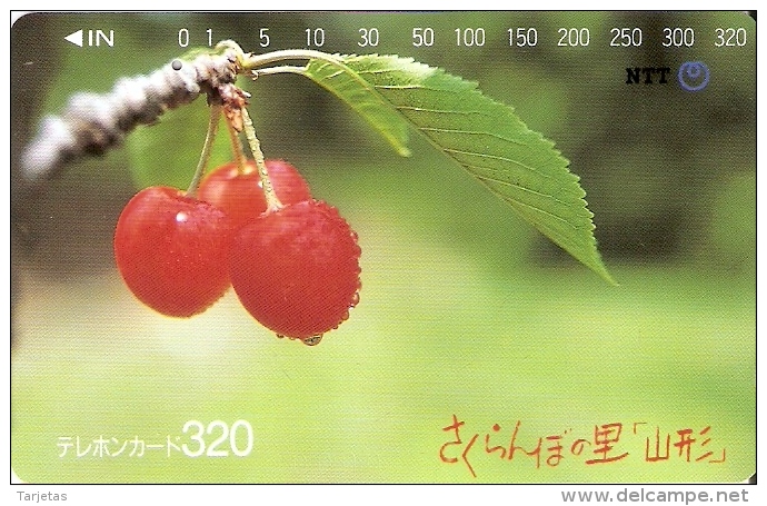 TARJETA DE JAPON DE UNAS CEREZAS DE 320 UNITS (410-237-1989) CEREZA - Japón