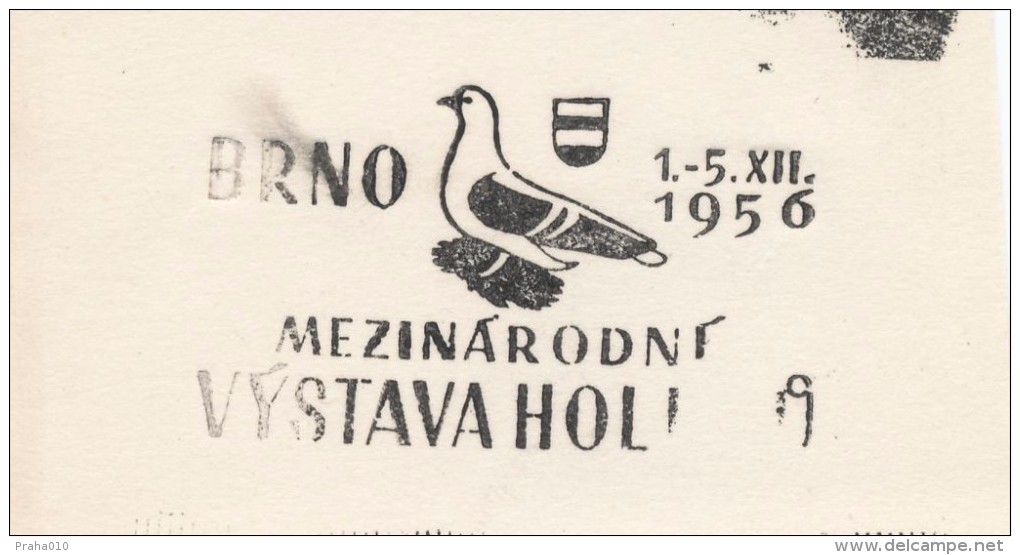 J1511 - Czechoslovakia (1945-79) Control Imprint Stamp Machine (R!): International Exhibition Of Pigeons; Brno 1956 - Ensayos & Reimpresiones