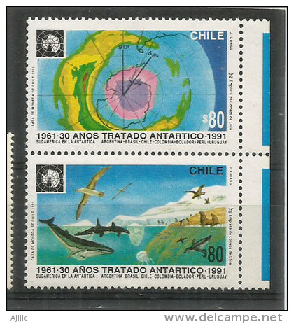 ANTARCTIQUE CHILIEN.  30 Ième Anniversaire Du Traité Antarctique (faune Antarctique) 2 T-p Neufs ** De 1991 - Antarctic Treaty