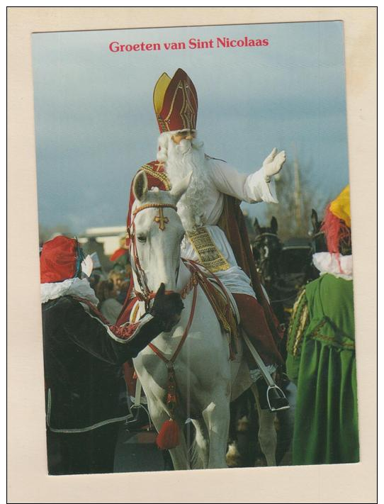 D54734 Postcard 4x6  Groeten Van Sint Nicolaas,christmas, White Horse, Photo: Gerard Bosman, Used - Santa Claus