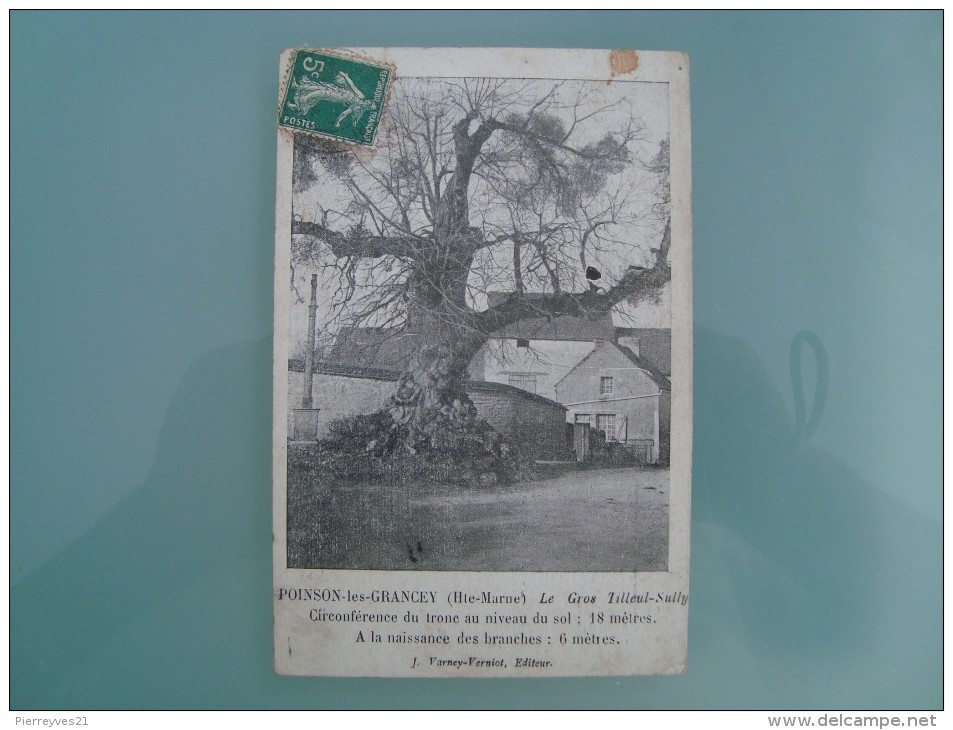 POINSON LES GRANCEY 1 CARTE 1900... LE GROS TILLEUL SULLY   5 = 1 GRATUITE - Other & Unclassified