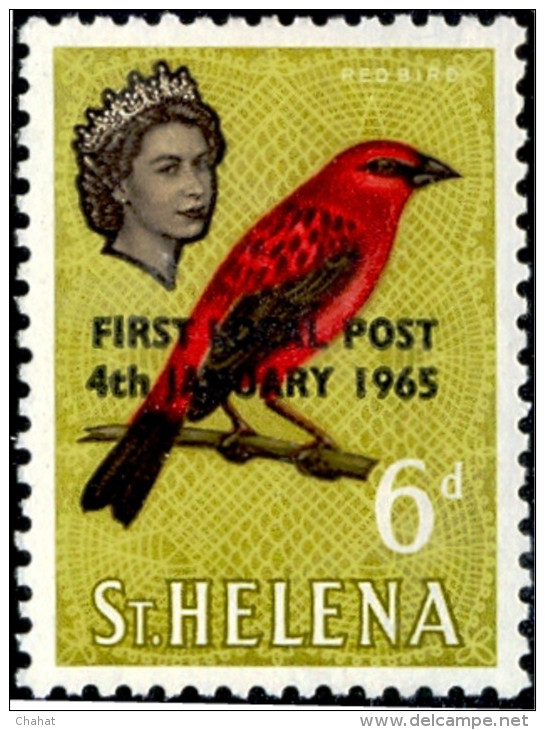 BIRDS-RED BIRD-OVPT-St HELENA-MLH-A6-475 - Piciformes (pájaros Carpinteros)