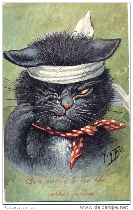 Katze Mit Kopfverband, Sign. Arthur Thiele - Thiele, Arthur