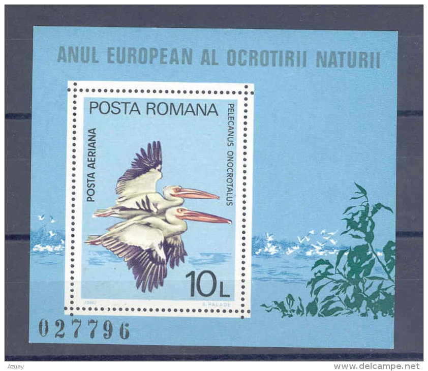 RO - BLOCK 1980 - PELIKANE- BIRDS -VÖGEL - POSTFRISCH -MNH - ** - Pélicans