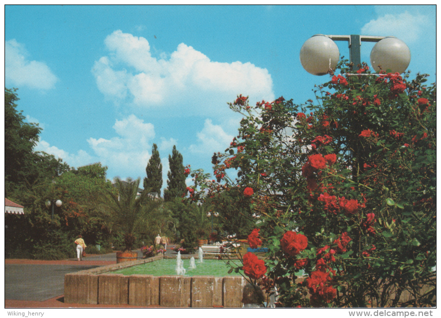 Bad Nenndorf - Partie Im Kurpark - Bad Nenndorf