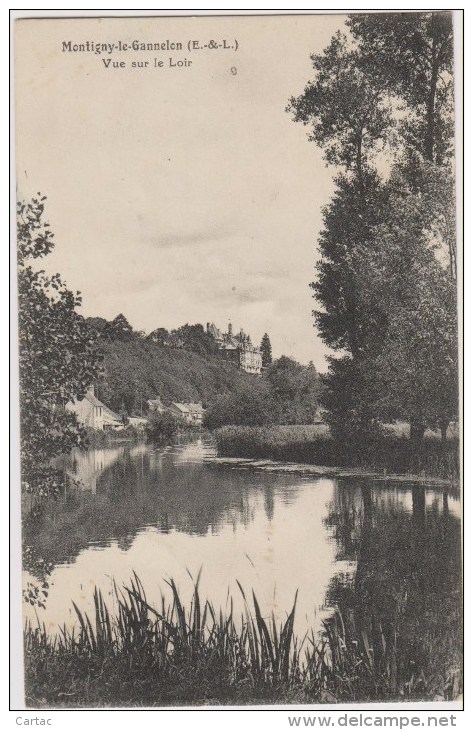 D28 - MONTIGNY LE GANNELON - VUE SUR LE LOIR - Montigny-le-Gannelon