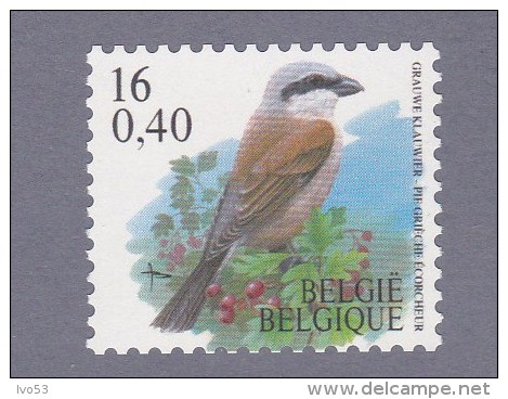 2000 Nr 2931** Rolzegel.Vogel:Grauwe Klauwier. - 1985-.. Birds (Buzin)