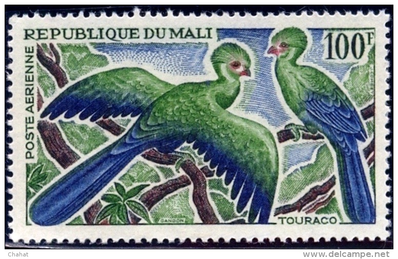 BIRDS-GUINEA TOURACOS-MALI-1965-MLH-A6-487 - Cuco, Cuclillos