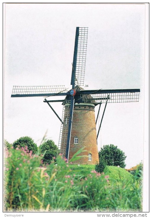 30278 - Schoondijke - Korenmole  - Beltmolen - Sluis