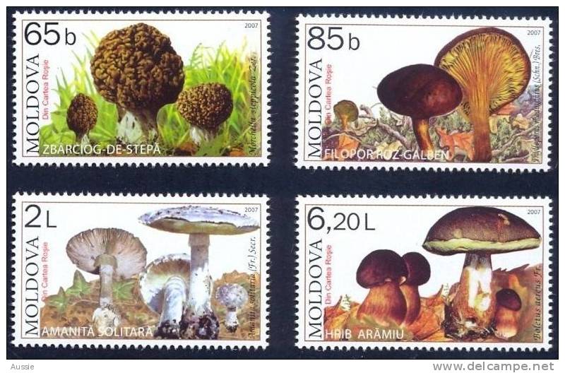 Moldova Moldavie 2007  Yvertn° 502-05 ***  MNH Cote 12,00 Euro Champignons Flore - Moldavie