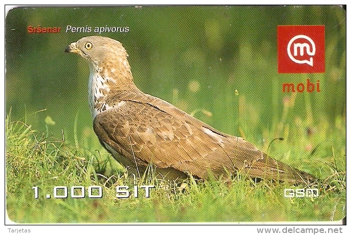 TARJETA DE ESLOVENIA DE UN AGUILA  (EAGLE-BIRD-PAJARO) - Eagles & Birds Of Prey