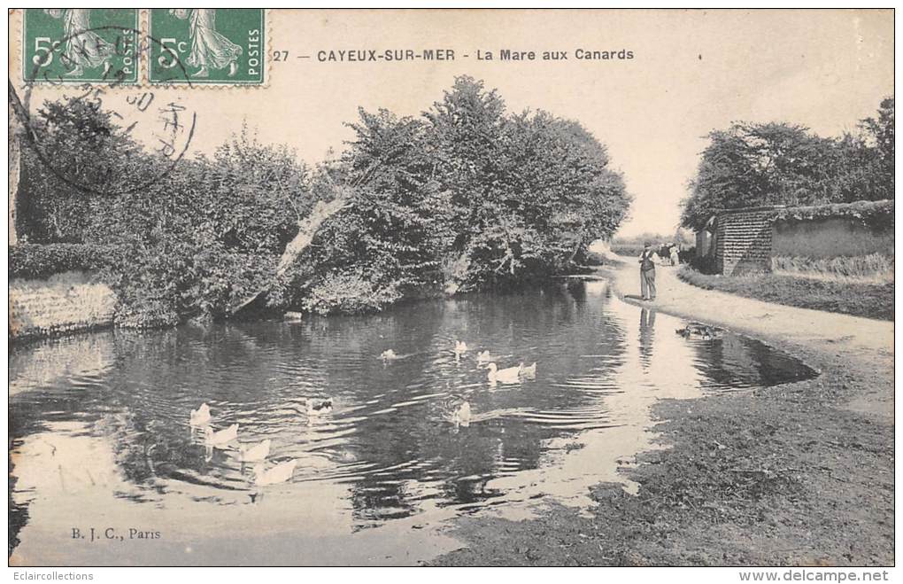 Cayeux Sur Mer     80     La Mare Aux Canards - Cayeux Sur Mer