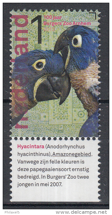 Nederland - Burgers Zoo 100 Jaar - Hyacintara - Postfris/MNH - NVPH 3036 - Neufs