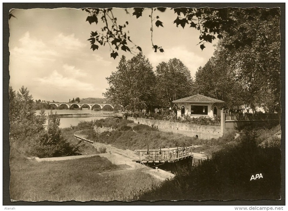 MOISSAC Pont Napoléon Et Uvarium (Apa Poux) Tarn & Garonne (82) - Moissac