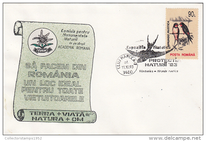 19939- BARN SWALLOW, BIRDS, SPECIAL COVER, 1993, ROMANIA - Hirondelles