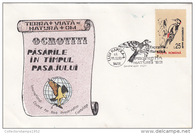 19943- GREAT SPOTTED WOODECKER, BIRDS, SPECIAL COVER, 1993, ROMANIA - Pics & Grimpeurs