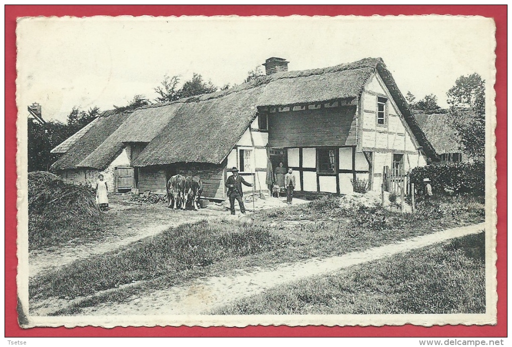 Jalhay - Vieille Maison Typique De L'Eifel  ( Voir Verso ) - Jalhay