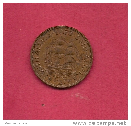 SOUTH AFRICA, Circulated Coin XF, 1955, 1/2 Penny, Elizabeth II,  KM45,  C1408 - C. 1/2 Penny