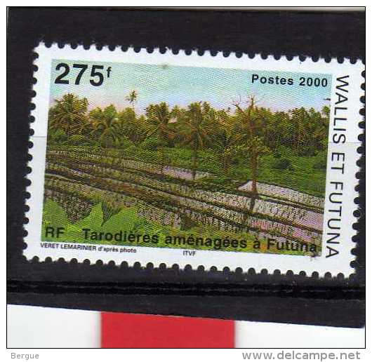 WALLIS ET FUTUNA N°  N°540 ** LUXE - Unused Stamps