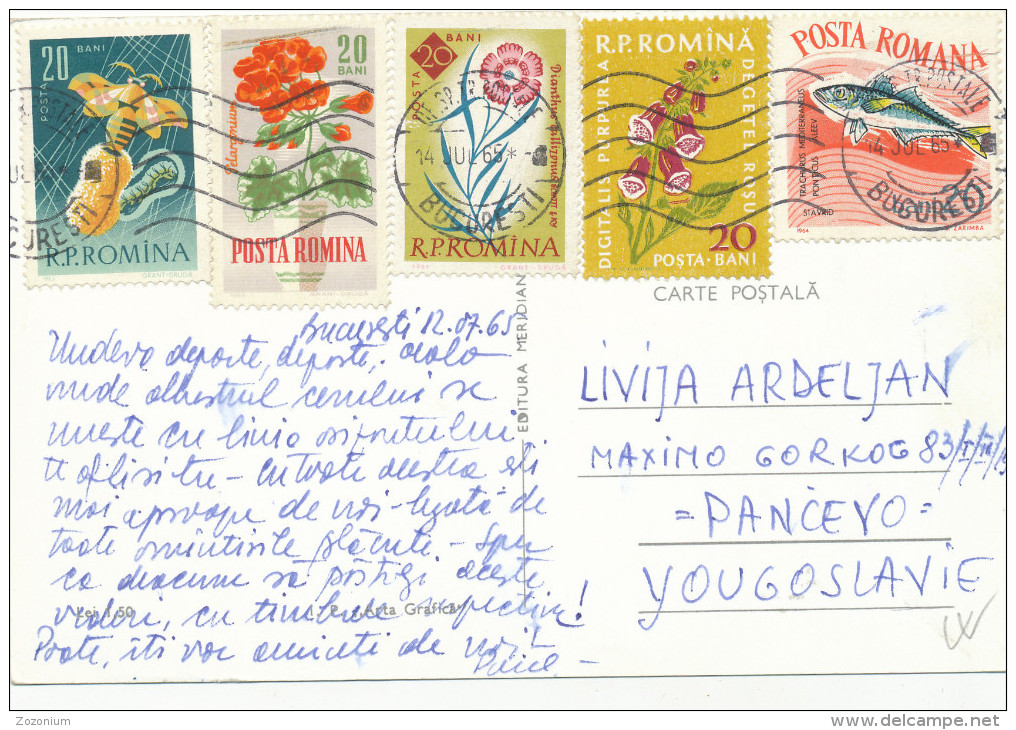 ROMANIA, POSTA ROMINA ROMANA ,STAMP, NICE STAMPS , Flowers,  - Vintage  Postcard - Covers & Documents