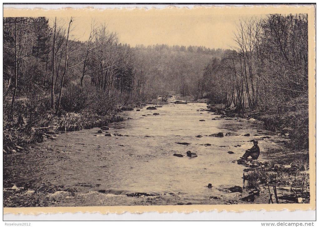 La Lesse Au ROLY - Philippeville