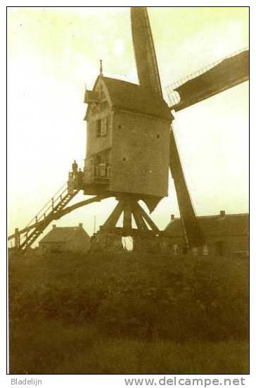 BEVERLO Bij Beringen (Limburg) - Molen/moulin - Mooie Opname Van De Gewezen Lemmensmolen, Opgezeild En In Werking ±1920 - Beringen