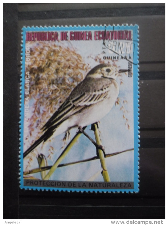 Guinée équatoriale OISEAU Oblitéré - Papageien