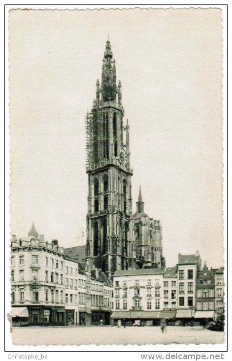 Antwerpen, Gilden Huizen Groote Markt En Kathedraal (pk20340) - Antwerpen