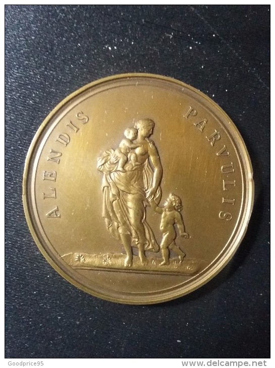 MEDAILLE FEDERATION FAMILIALE DU NORD DE LA FRANCE - Professionnels / De Société