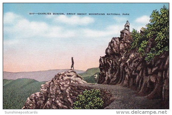 Charlies Bunion Great Smoky Mountains National Park Tennessee - Smokey Mountains