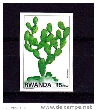 A] 1 Timbre ** 1 Stamp ** Rwanda NON Dentelé IMPERF Cactus - Unused Stamps