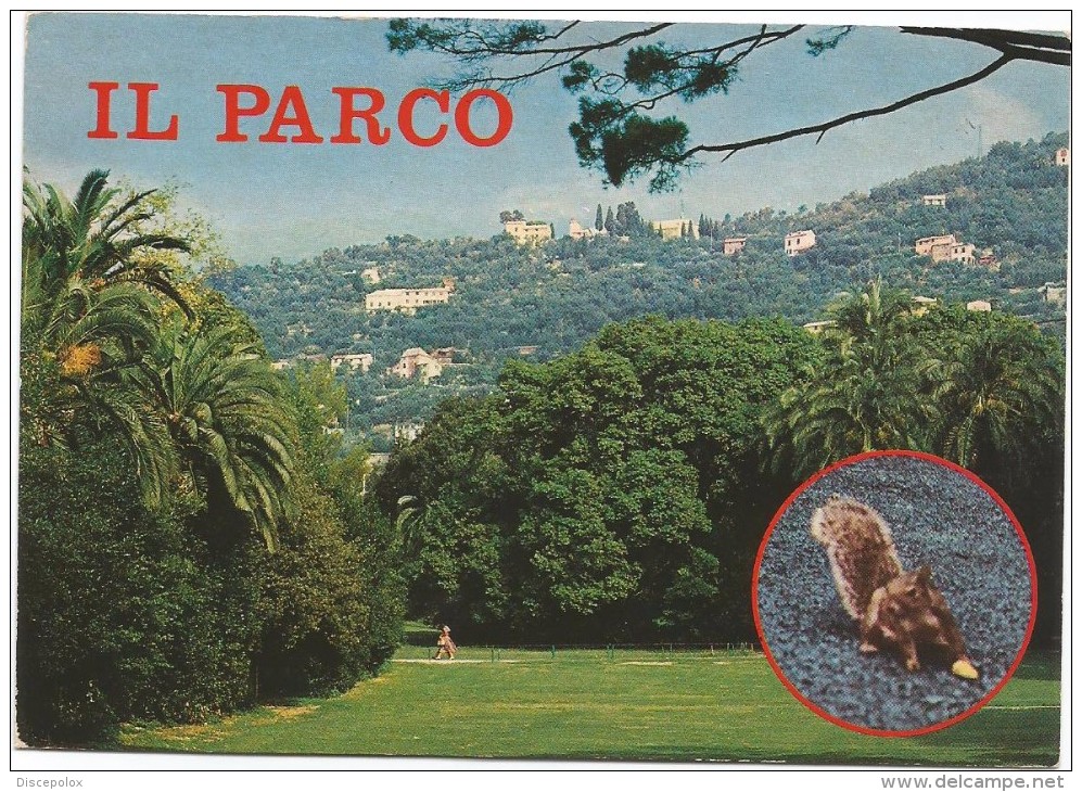 B3519 Genova - Nervi - Il Parco E Gli Scoiattoli - Squirrels Ecureuils / Viaggiata 1982 - Genova (Genoa)