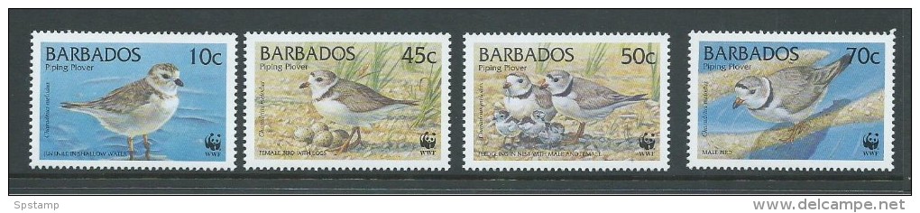 Barbados 1999 WWF Plover Bird Set 4 MNH - Barbades (1966-...)