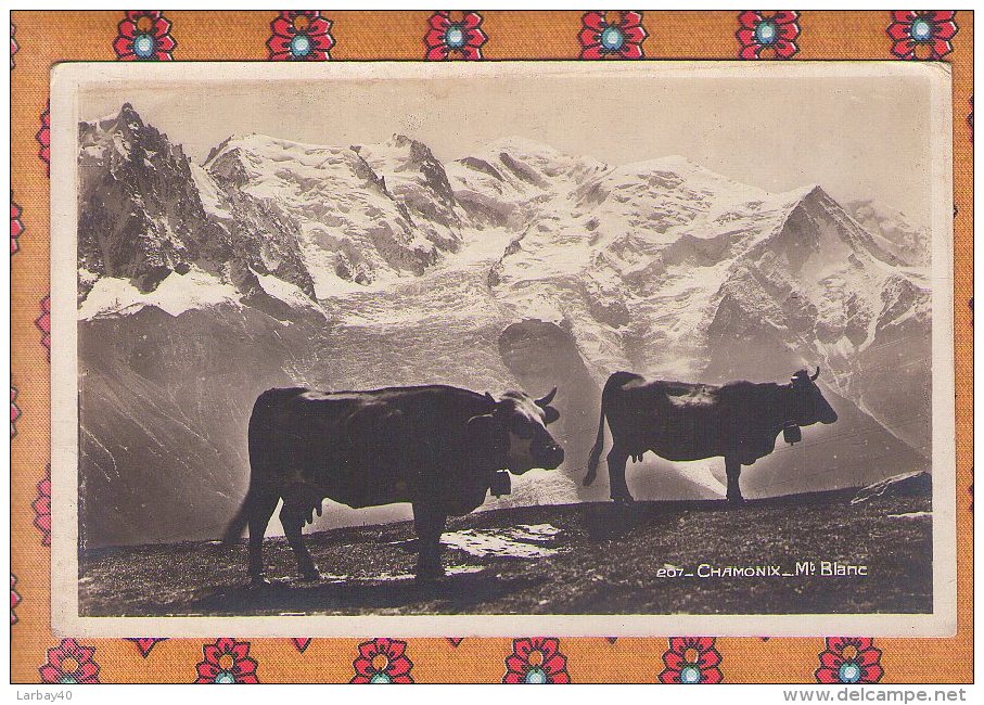 1 Cpa - Chamonix Vaches - Chamonix-Mont-Blanc