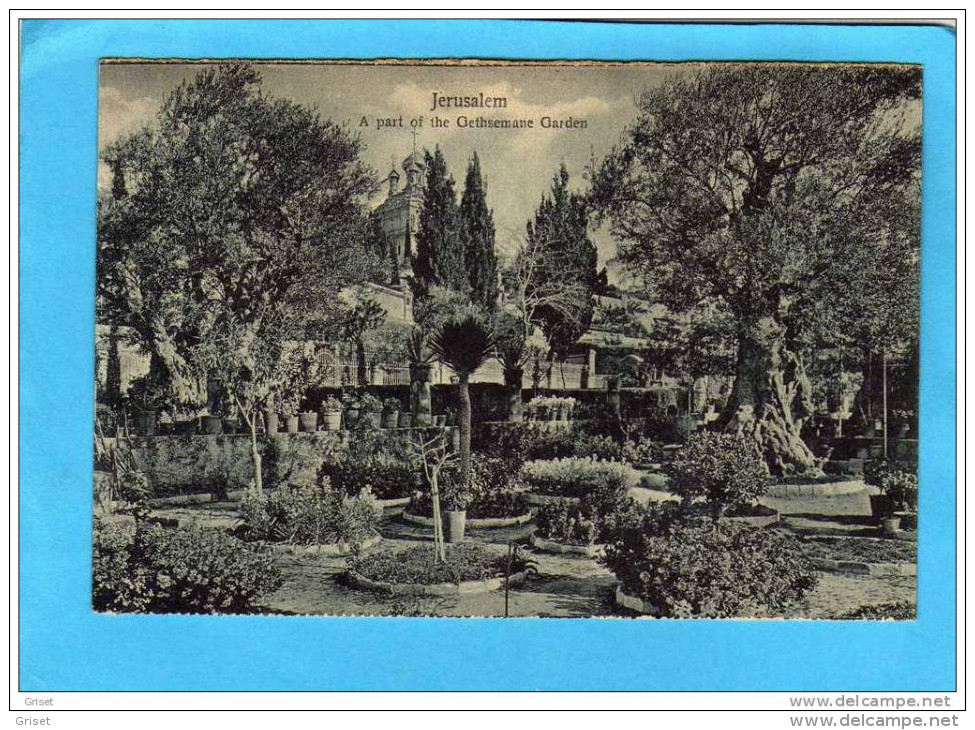 JERUSALEM- - Jardin De Getsémane Beau Plan- A Part Of Garden Années 1900 - Palestine