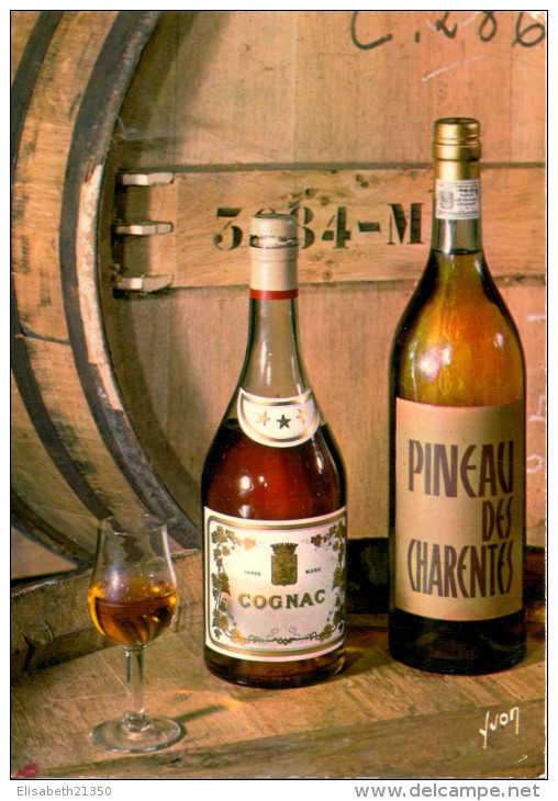 COGNAC : Richesse Et Noblesse De La Charente : Le Cognac Et Le Pineau - Cognac