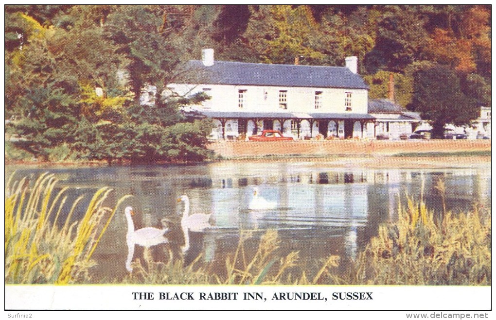 SUSSEX - ARUNDEL - THE BLACK RABBIT INN Sus504 - Arundel