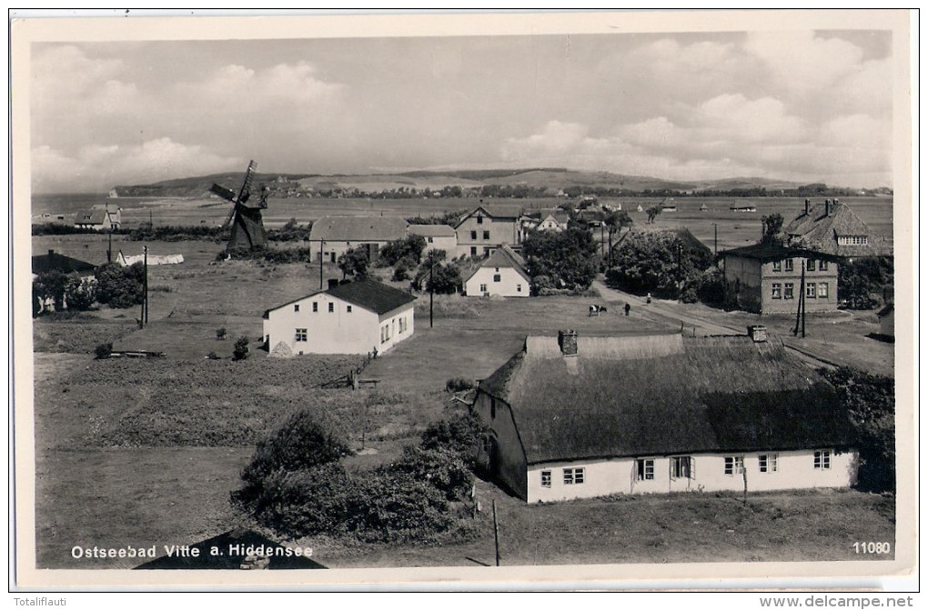 Ostseebad VITTE Auf Hiddensee Panorama Vogelschau Windmühle Mill Molen Moulin 2.7.1932 Gelaufen Kuh A D Weide La Vache - Hiddensee