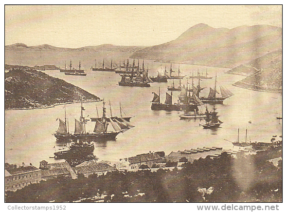 20233- DUBROVNIK- AUSTRO-HUNGARIAN AND OTHER WARSHIPS AT GRUZ HARBOUR - Croatia